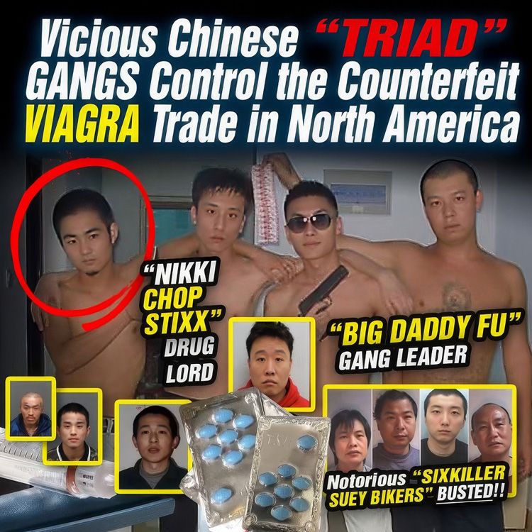 Vicious Chinese Triad gangs control the counterfeit viagra trade in north America