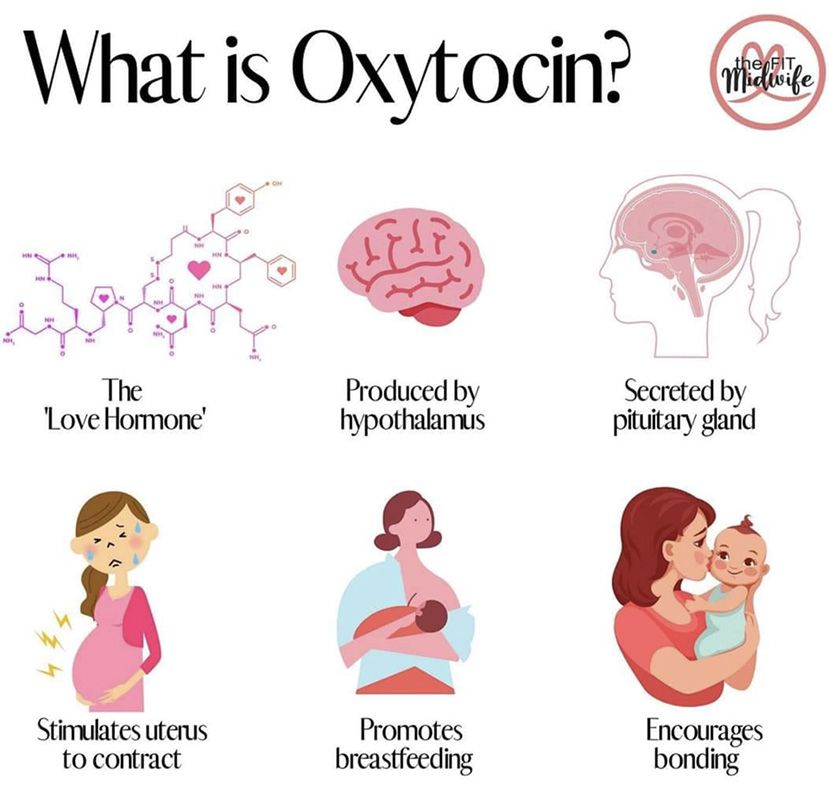 the fit midwife - what is oxytocin? graphical explanation